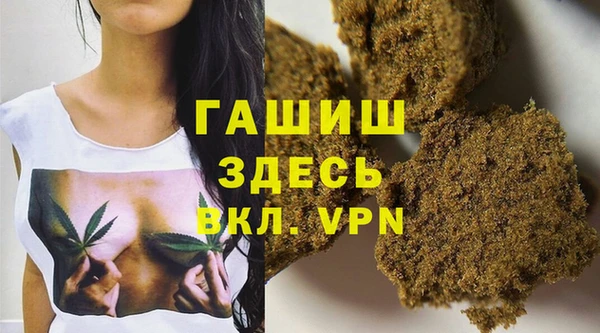индика Новозыбков