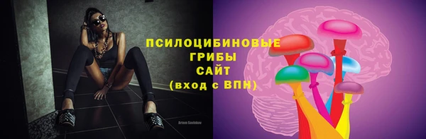 индика Новозыбков