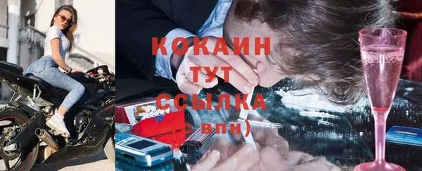соль ск Новодвинск
