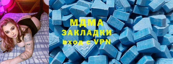 индика Новозыбков