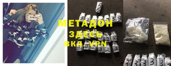 индика Новозыбков