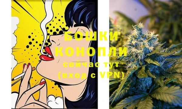 индика Новозыбков