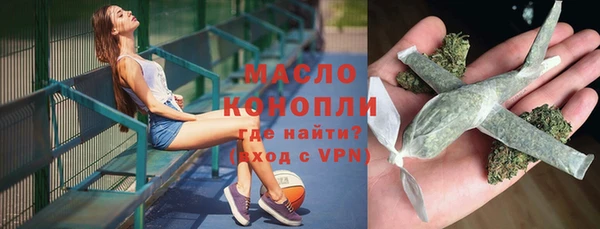 индика Новозыбков