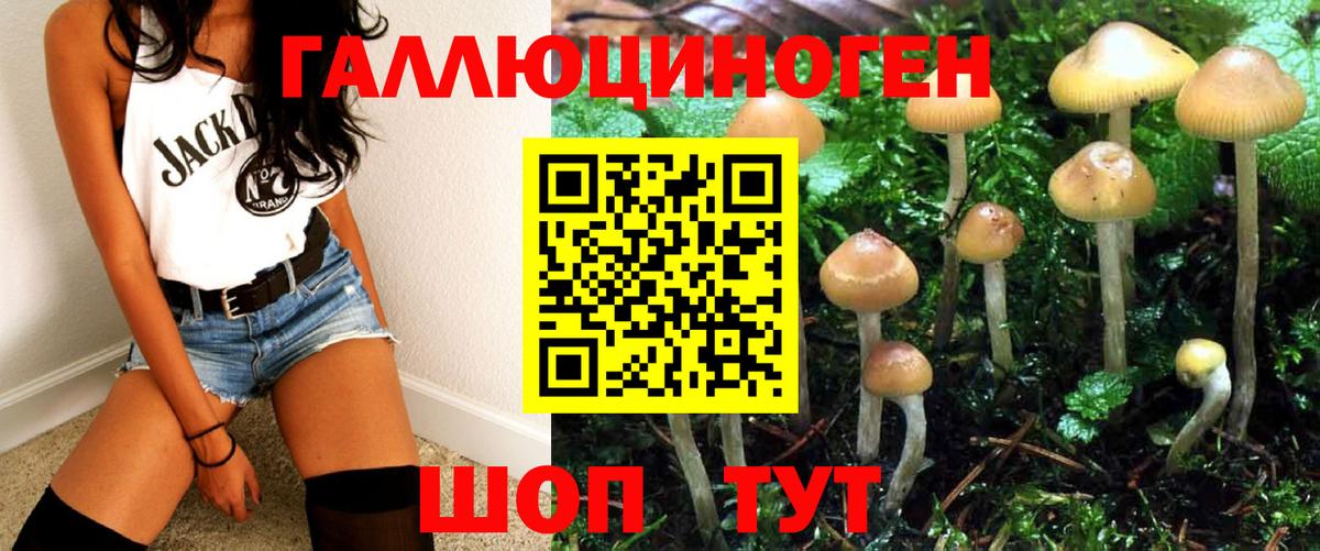Псилоцибиновые грибы мицелий  Вход с VPN  Мурманск 