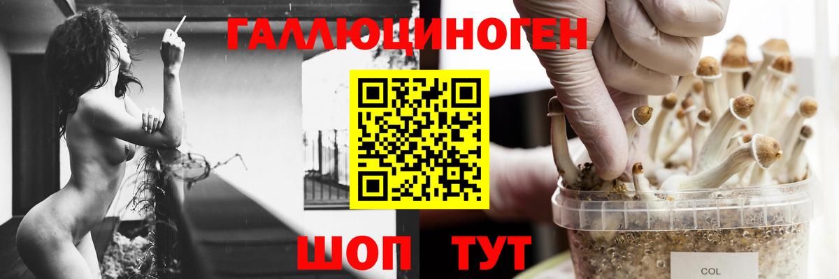 Каннабис  MDMA  COCAIN  Мурманск  Вход с VPN  Купить закладку  А ПВП  Мяу-Мяу  Кислота  Мяу-Мяу  ГАШИШ 